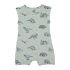 Byron Bay Dinosour Onesie