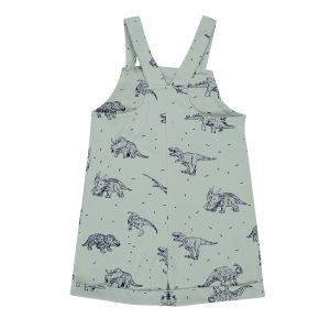 Byron Bay Dinosour Overal Onesie 1